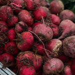 Wait... What Do You Mean We Made Beets into Teabags?