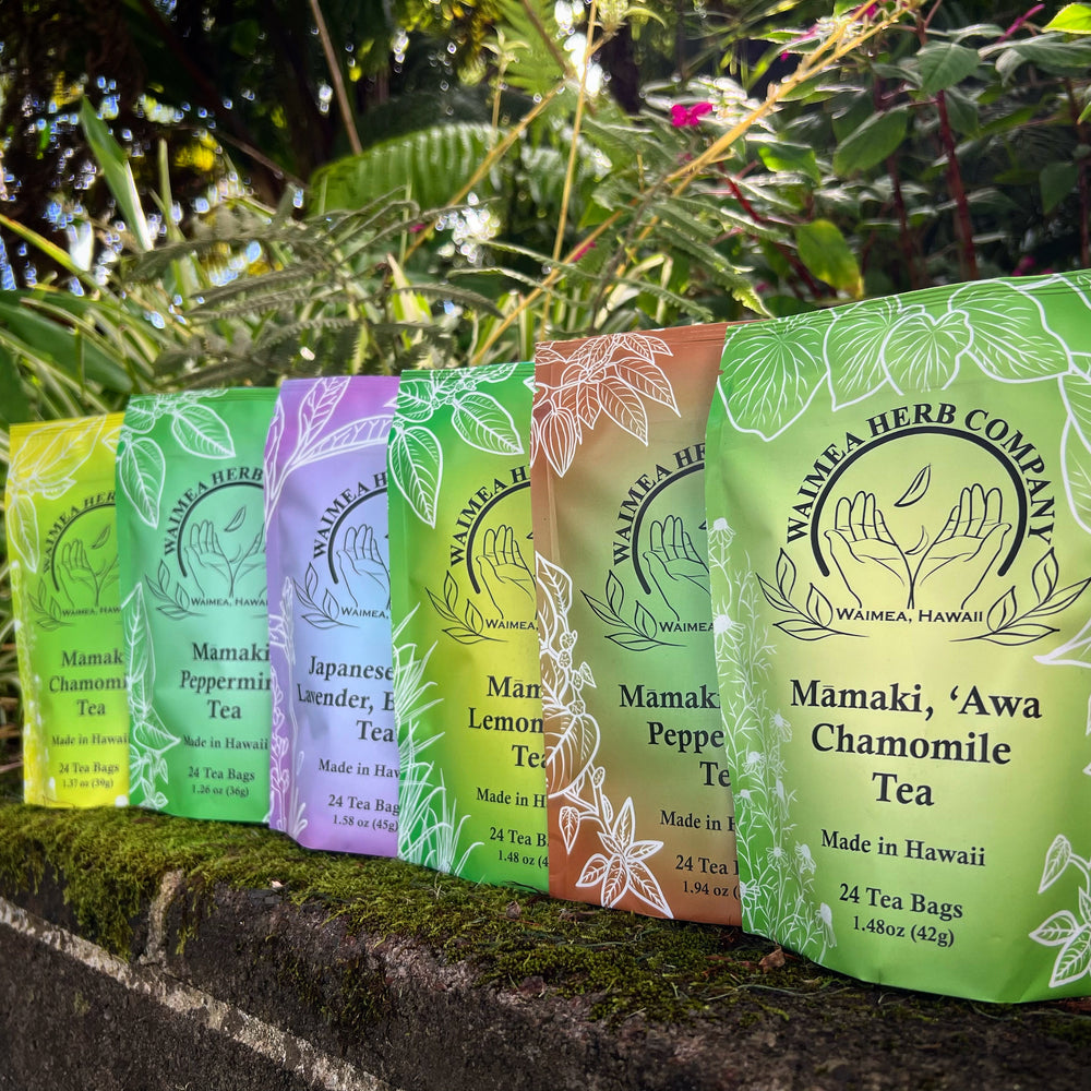 6 Pack Unsweetened Tea Bundle