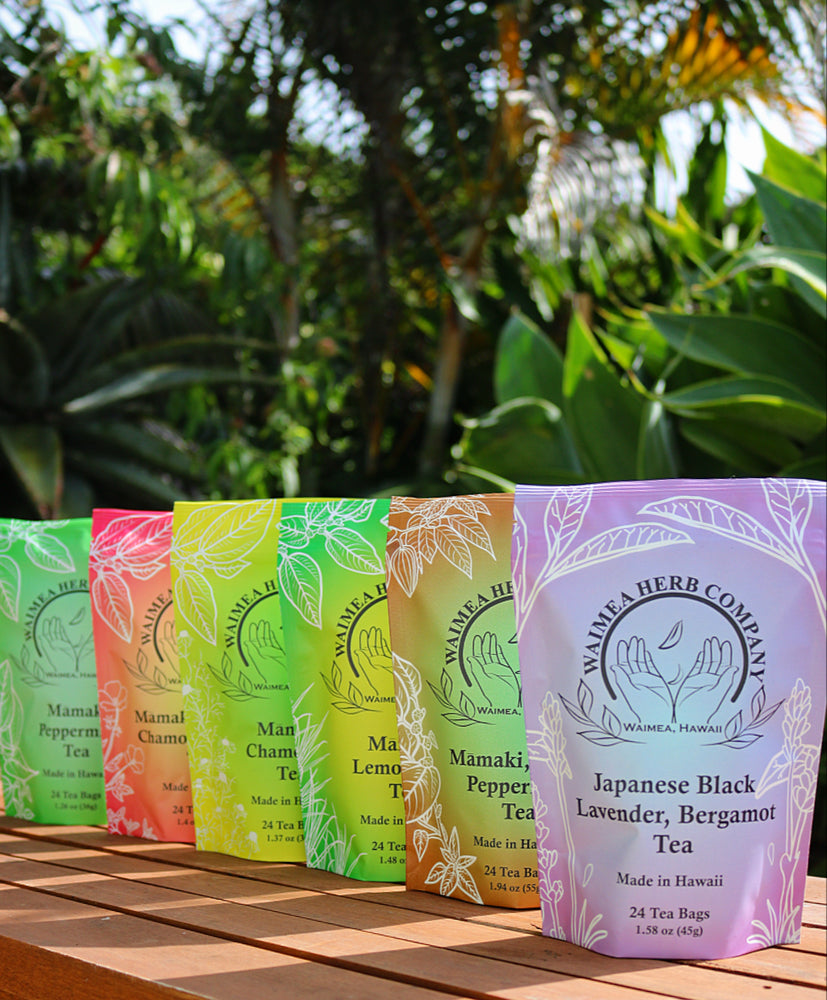 6 Pack Tea Bundle